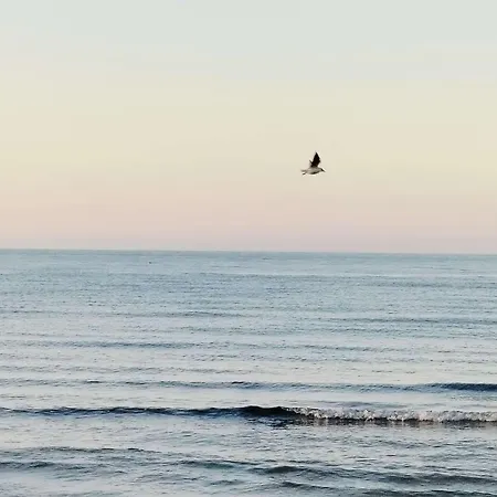 Perla Marina Διαμέρισμα *