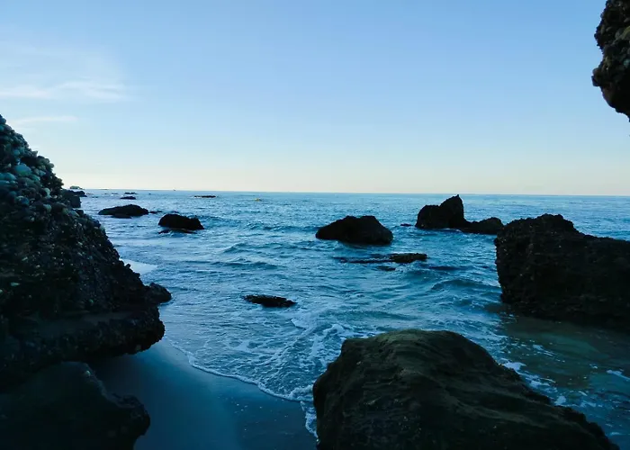 Perla Marina * Васто