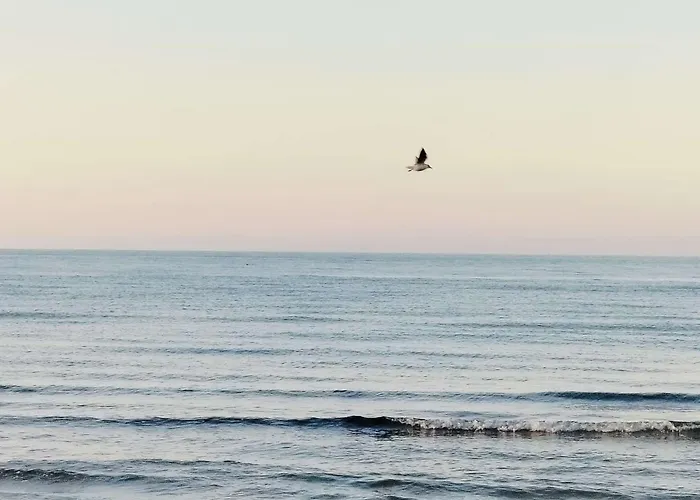 Perla Marina Апартаменты *